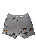 Dino Shorts Size 18m